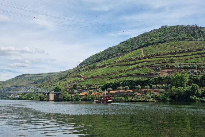 VALE DOURO: Premium Wine, Lunch Wine & Private Boat Tour - The Sum Up