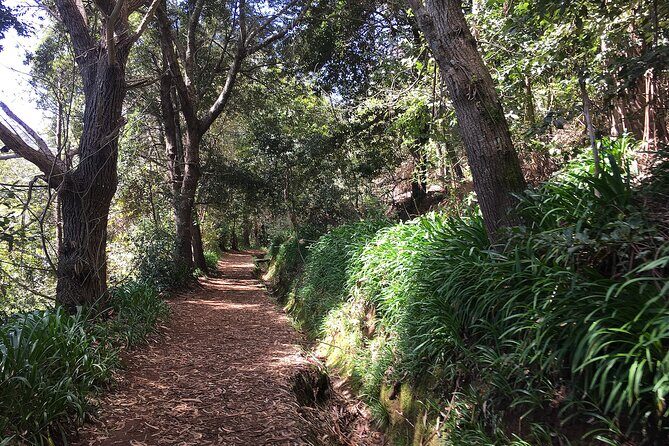 Vale Paraiso - Paradise Valley Walk - An In-Depth Look at the Vale Paraiso - Paradise Valley Walk