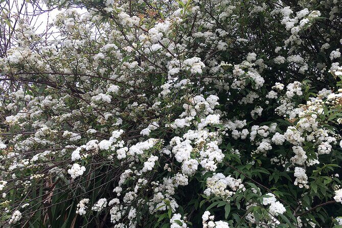 Vale Paraiso - Paradise Valley Walk - Is This Tour Right for You?