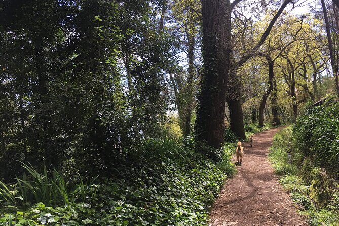 Vale Paraiso - Paradise Valley Walk - Frequently Asked Questions