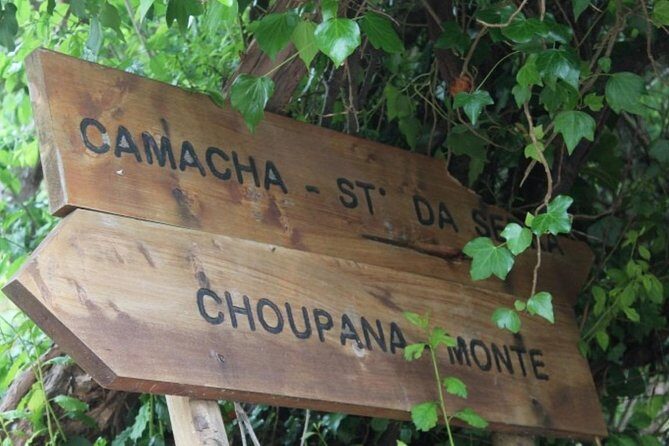 Vale Paraíso - Rochão (Half Day Walk) - Final Thoughts: Is This Tour for You?