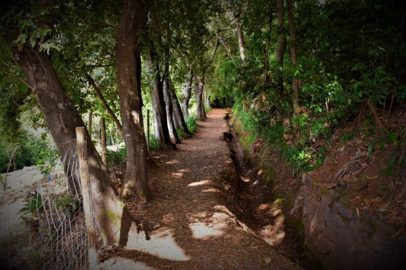 Vale Paraíso Rochão Madeira Island Walk - Practical Considerations