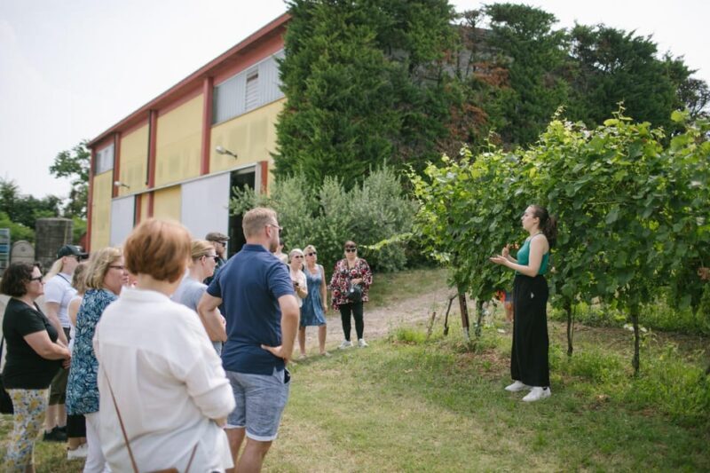 Valeggio: "Perlage d'Autore," bubbles of excellence and guided tour - Key Points