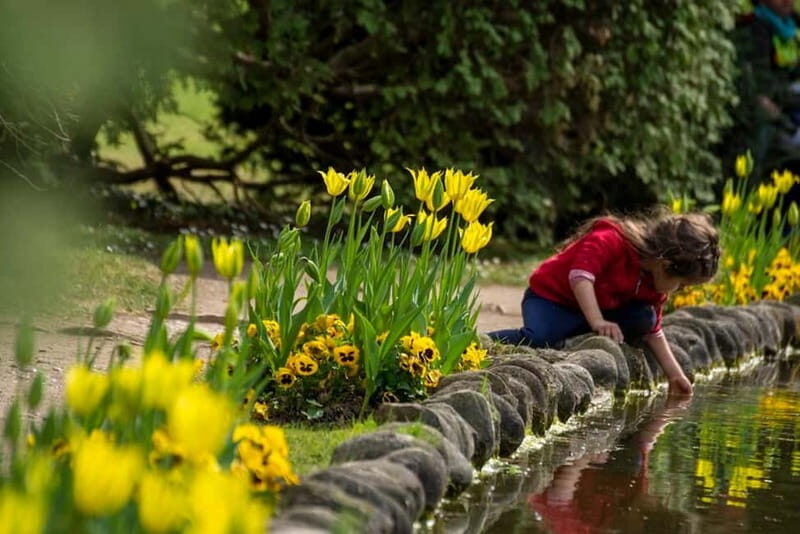 Valeggio: Sigurtà Garden Park Entry w/ Golf Cart Rental - Navigating the Experience