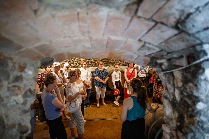 Valeggio: Sorsi dEstate, 3 young wines with guided tour - Key Points