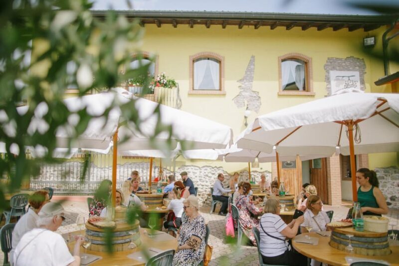 Valeggio: Summer Sips - 3 young wines with guided winery tour. - The Experience in Detail