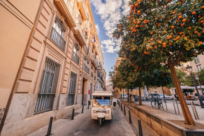 Valencia 1 hour by TukTuki: Essential and Private Tour - FAQ