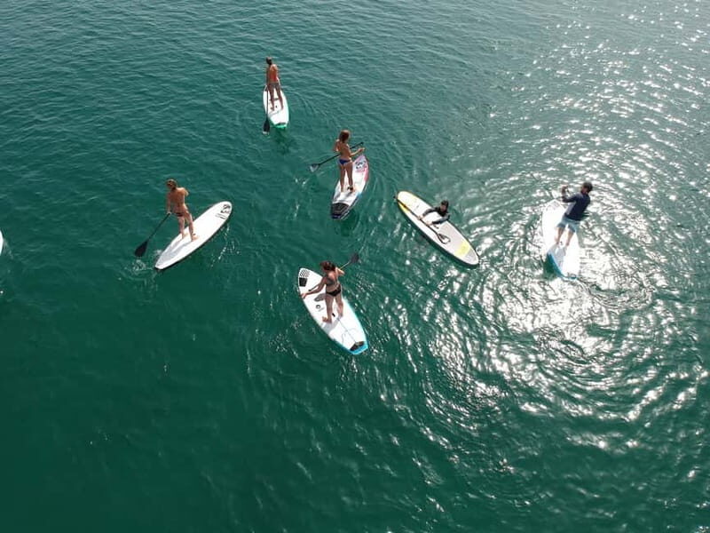 Valencia: 1 Hour Stand Up Paddle Board Lesson - Why You Should Try This Out