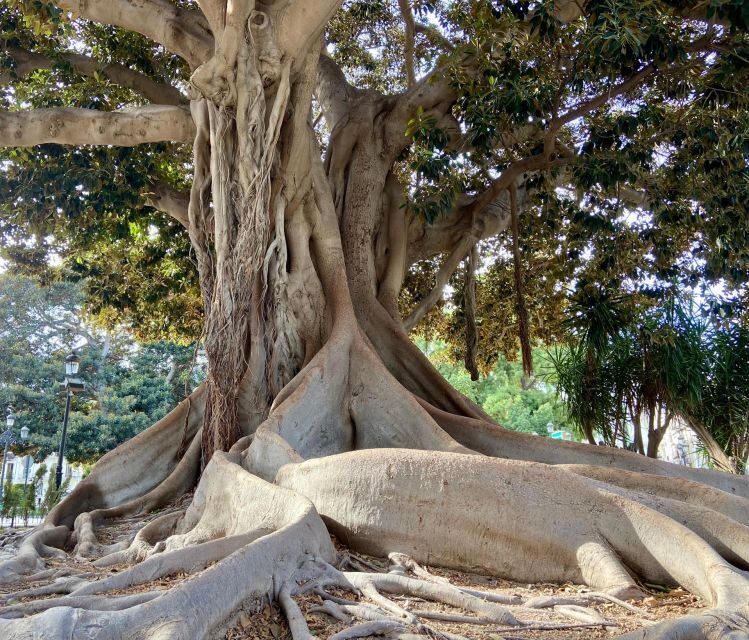 Valencia: 2-in-1 Biking and Walking Audio-Guided Route - FAQ