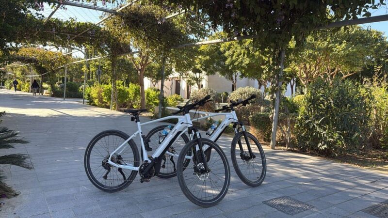 Valencia all in one: beaches, old town & city arts by E-bike - Key Points