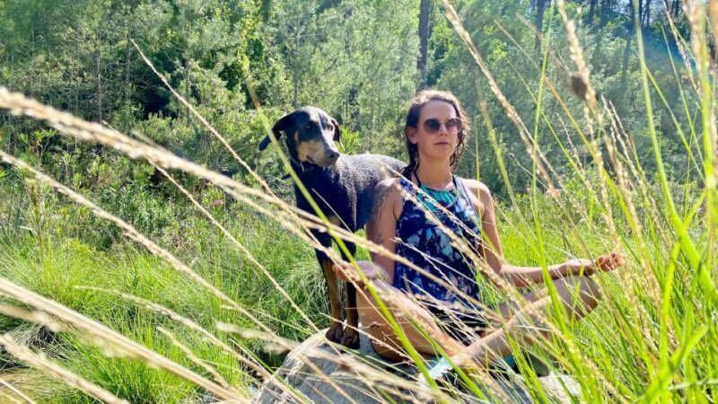 Valencia: Amazing river hike by Friar River Canyon in Bicorp - Who Will Love This Tour?