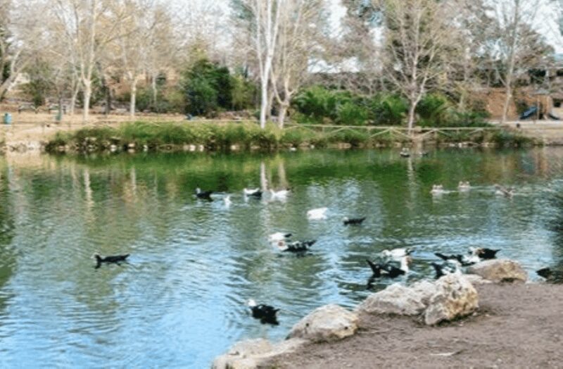 Valencia: Anna Alhambra and 3 Waterfalls Guided Tour - Final Thoughts on Value