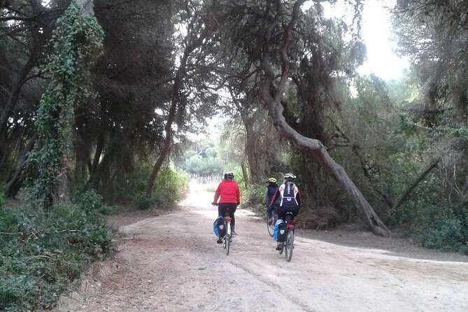 Valencia Bike or Segway Tour - The Sum Up
