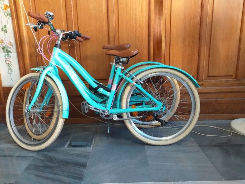 Valencia: Bike Rental for 1 to 4 Days - Exploring Valencia on Two Wheels