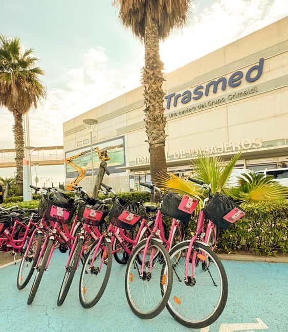 Valencia: Bike Tour and Tapas for Cruise Passenger - Who Will Enjoy This Tour?