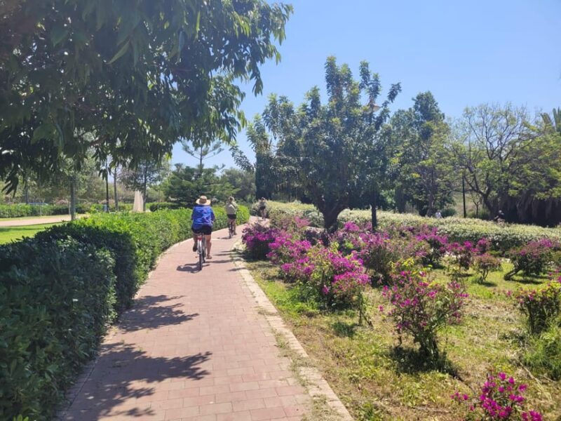 Valencia, Biketour of all the city with a local guide - A Detailed Look at the Valencia Bike Tour