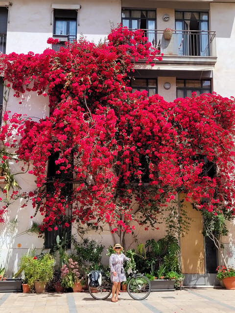 Valencia, Biketour of all the city with a local guide - FAQ