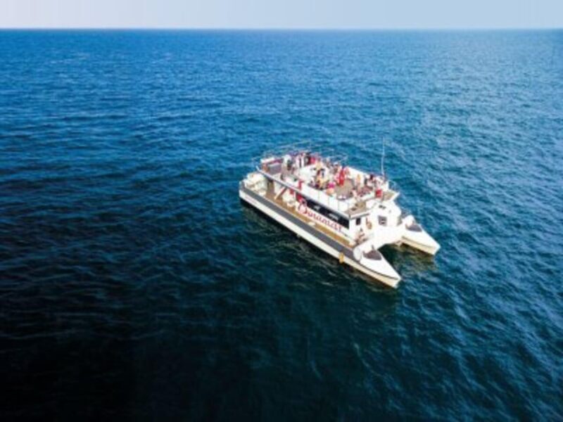 Valencia: Boat Trip on the Valencian coast with lunch - Final Thoughts