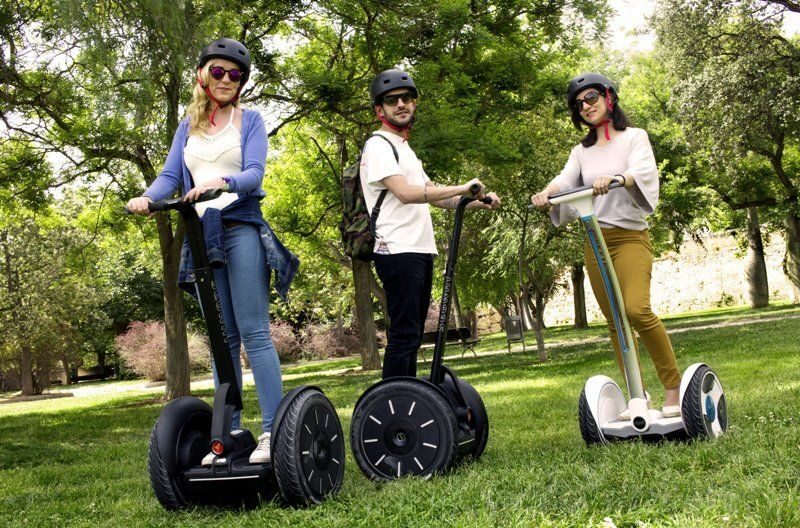 Valencia: Cabecera Park and Bioparc Segway Tour - The Sum Up