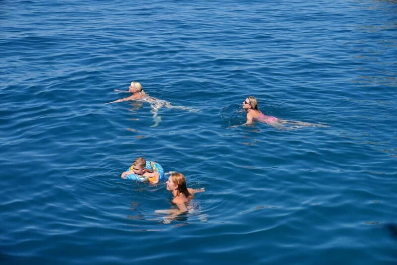 Valencia: Catamaran Adventure with Swimming Stop - The Itinerary in Detail