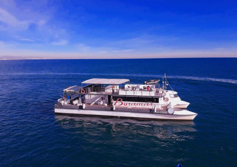 Valencia: Catamaran Cruise with Stop for Swimming - The Itinerary and What to Expect