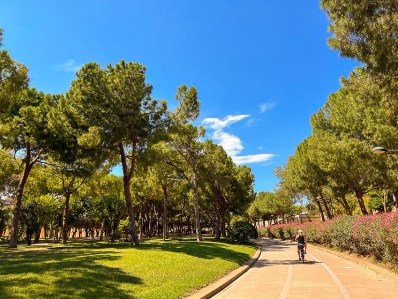 Valencia: City Highlights Bike Tour - The Sum Up