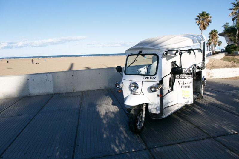 Valencia: Complete Tuk-Tuk Tour Around the City - Key Points