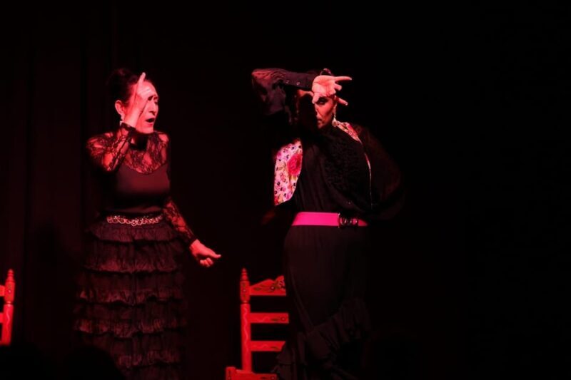 Valencia: Flamenco Show at Ca Revolta Theater - The Performance: What to Expect