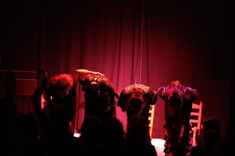 Valencia: Flamenco Show at Ca Revolta Theater - Accessibility and Practicalities