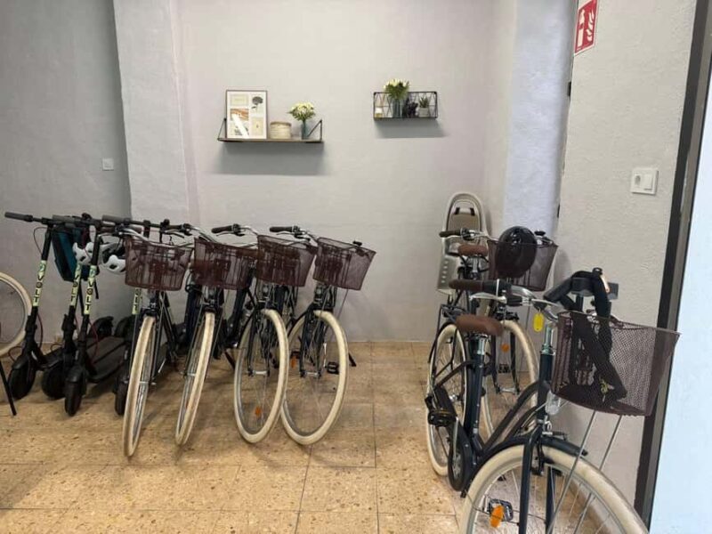 Valencia: Full-Day E-Bike Rental (9:30AM20:00PM) - Itinerary Highlights and Practicalities