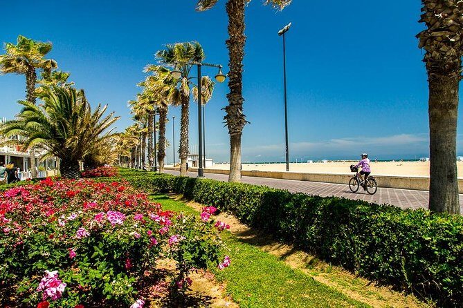 Valencia Highlights with Private Vehicle (Private Tour) - Final Thoughts: Who Is This Tour Perfect For?