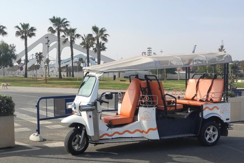 Valencia: Modern Tuk Tuk Tour (1h 30m) - FAQ