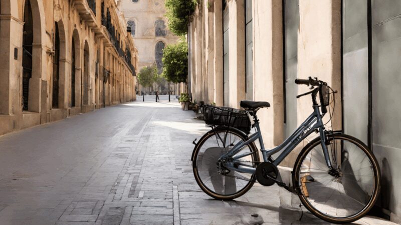 Valencia: Normal bike and Electric bike Rental Ruzafa - The Sum Up