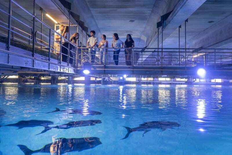 Valencia Oceanogràfic Entry with Backstage tour in Spanish - Key Points