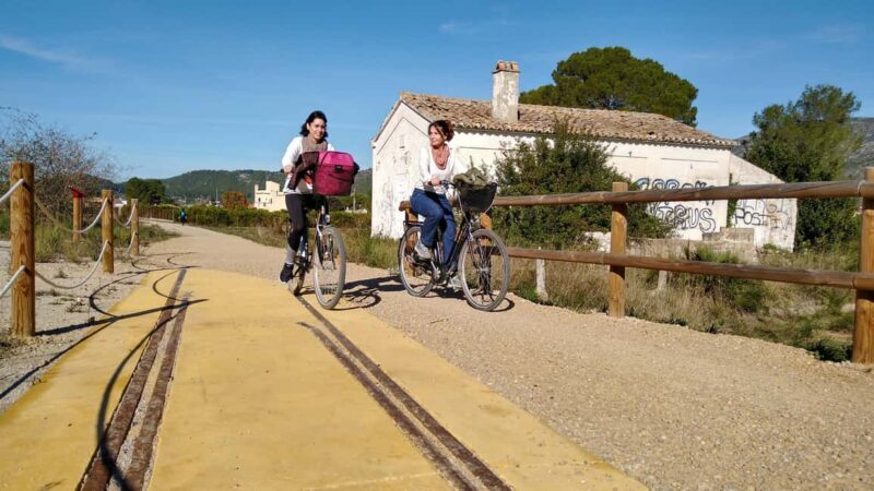 Valencia: Orange Grove Bike Tour with Monastery Visit - Key Points