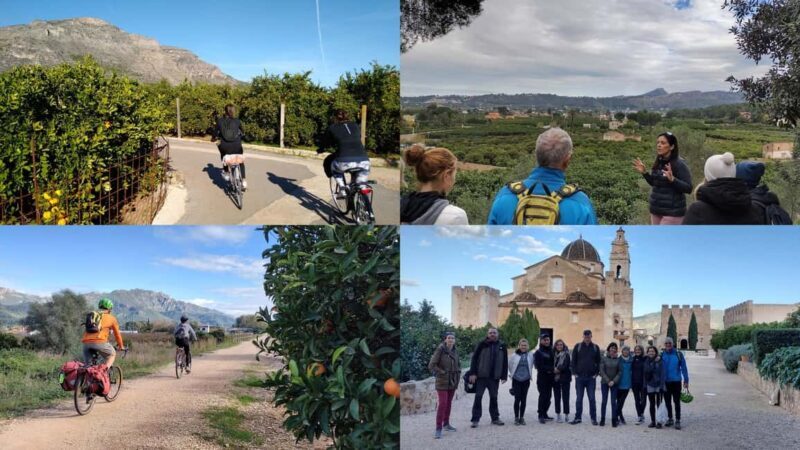 Valencia: Orange Grove Bike Tour with Monastery Visit - An In-Depth Look at the Tour