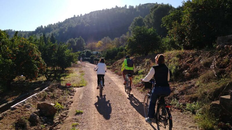 Valencia: Orange Grove Bike Tour with Monastery Visit - FAQs