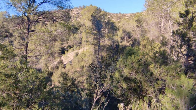 Valencia: Peña Cortada Aqueduct Guided History Hike - Who Will Love This Tour?
