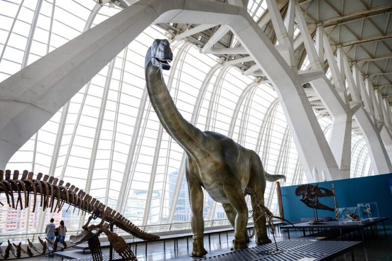 Valencia: Principe Felipe Science Museum Entry Ticket - Who Will Benefit Most