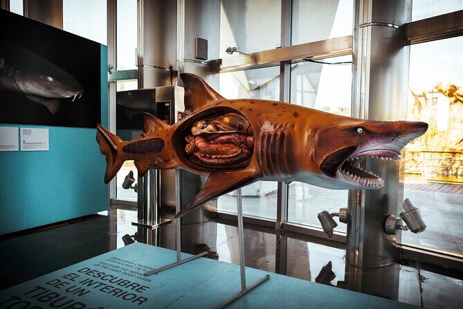 Valencia Private Family Tour - FAQs