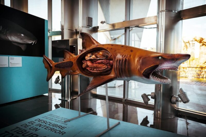 Valencia: Private Family Tour with Churros, Parks & Museum - Analyzing the Value