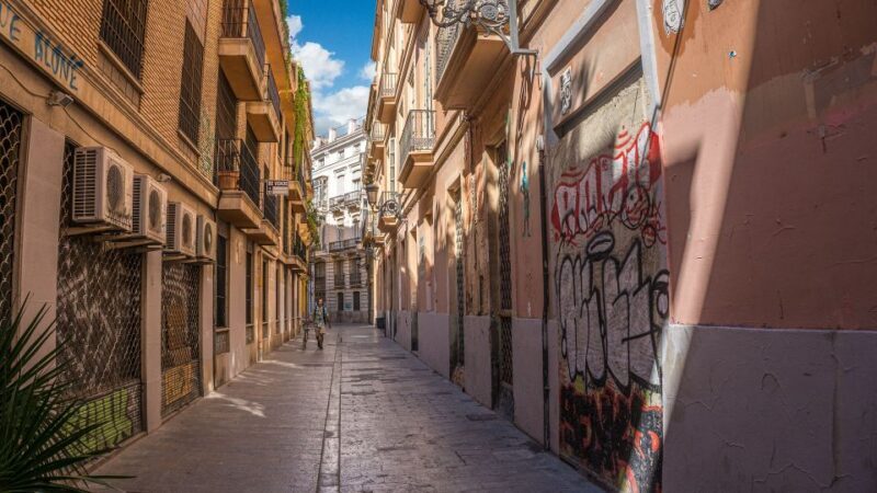 Valencia - Private Historic walking tour - Authentic Insights from Past Participants