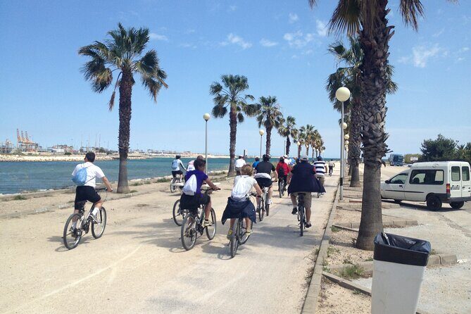Valencia: Road to La Albufera Private Bike Tour - An In-Depth Look at the Tour Experience