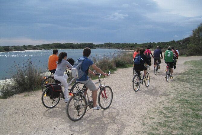 Valencia: Road to La Albufera Private Bike Tour - Frequently Asked Questions