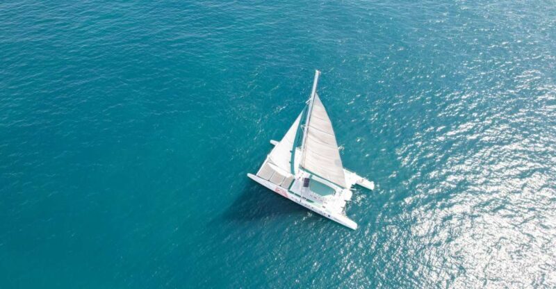 Valencia: Sailing Catamaran Cruise with Valencian Lunch - Who Should Consider This Tour?