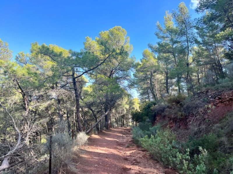 Valencia: Sierra Calderona & El Garbí Mountain hiking Tour - Who Is This Tour For?