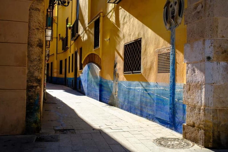 Valencia, Spain: Excellent Private Walking Photography Tour - An Introduction to a Unique Photography Experience in Valencia