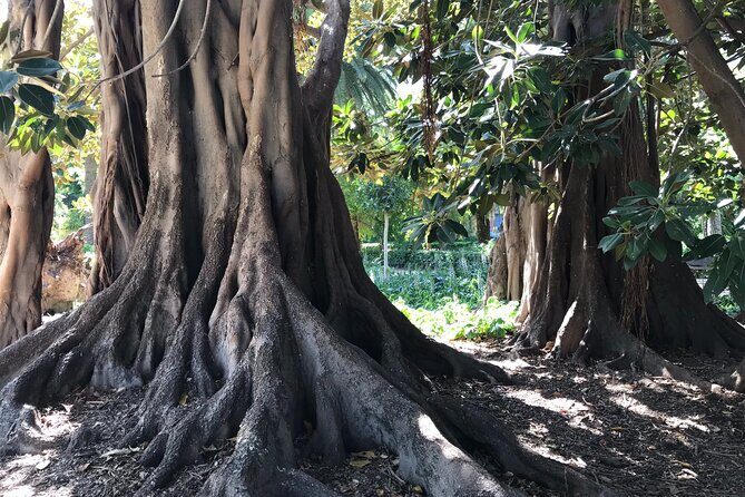 Valencia Street Art | Small Group Guided Tour by Bike - FAQs