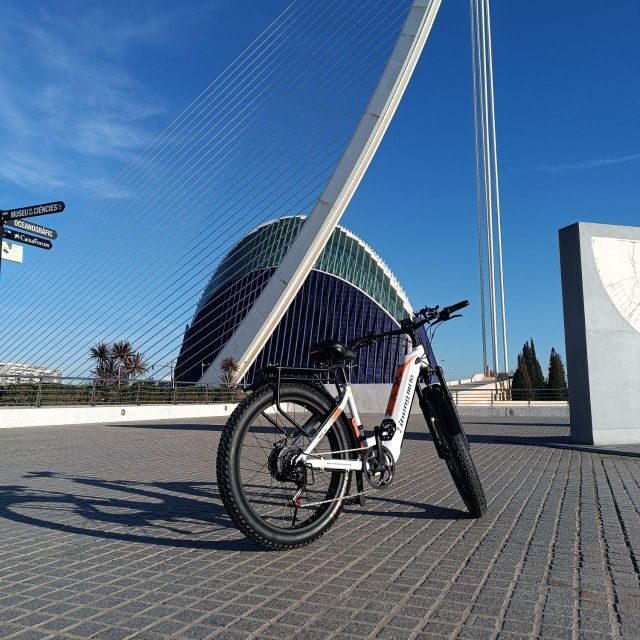 Valencia: The Albufera Lake Self-Guided E-Bike Tour - Key Points