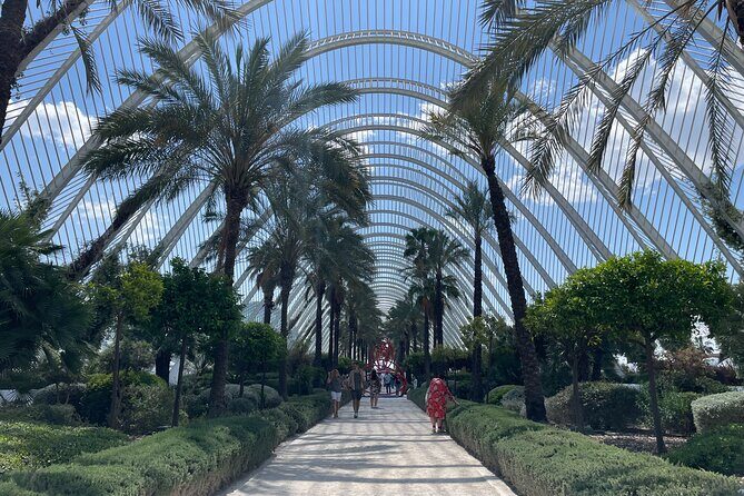 Valencia: Top 25 Highlights Guided Bike Tour - Final Thoughts: Who is This Tour Best For?